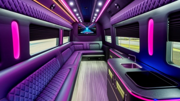 roanoke sprinter limo rental inside