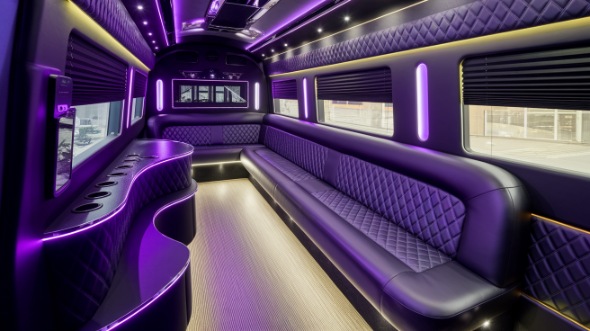 roanoke sprinter limo rental interior
